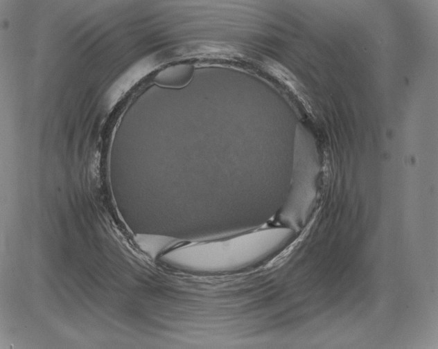 X0000080661066200612301330