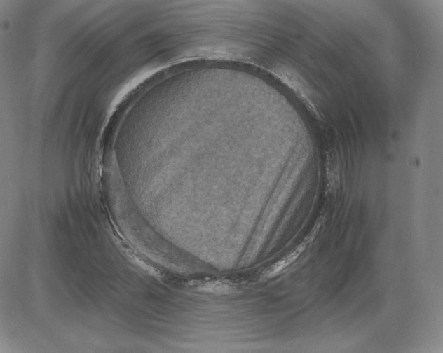 X0000080661070200612301329