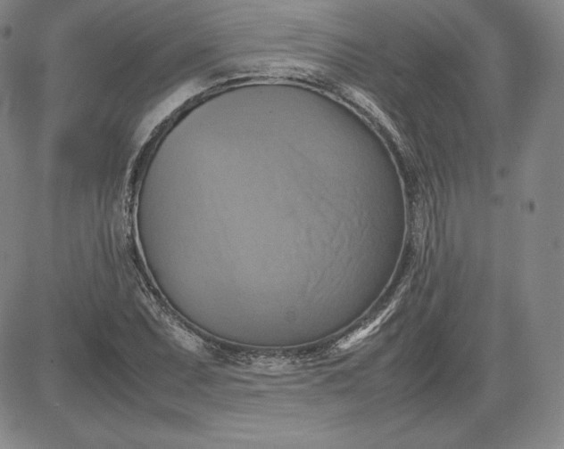X0000080661071200612301329