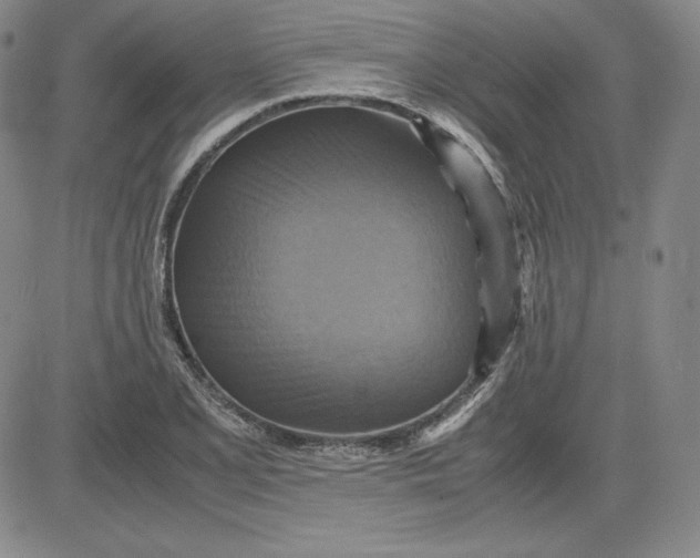 X0000080661077200612301329