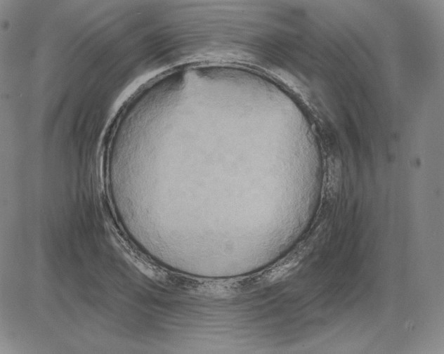X0000080661078200612301329