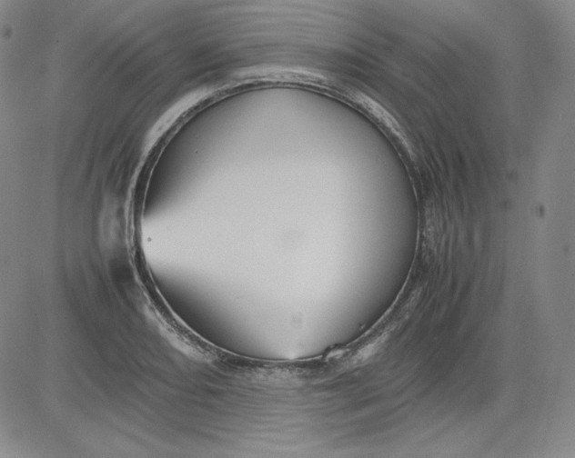 X0000080661082200612301329