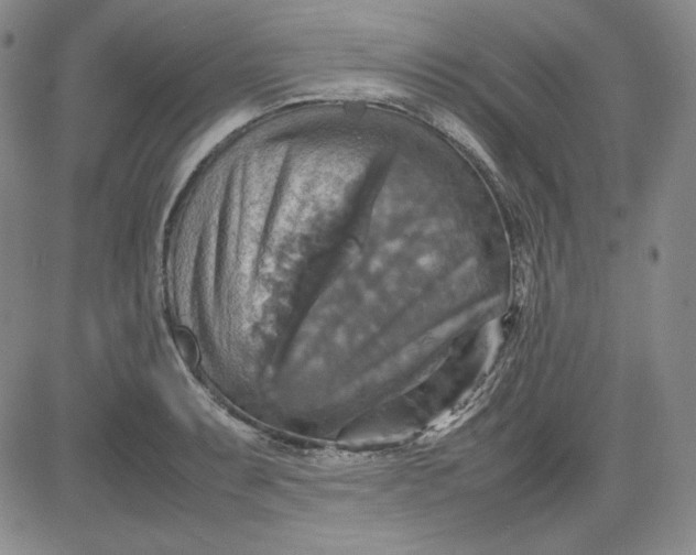 X0000080661087200612301329