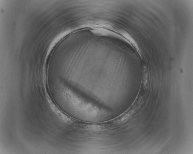 X0000080661088200612301329