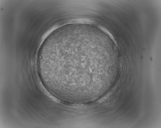 X0000080661091200612301329
