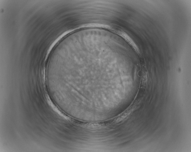 X0000080661092200612301329