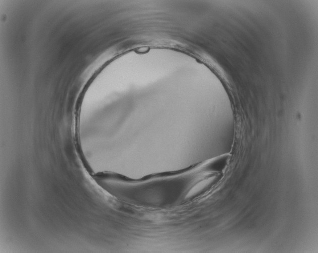 X0000080661095200612301329