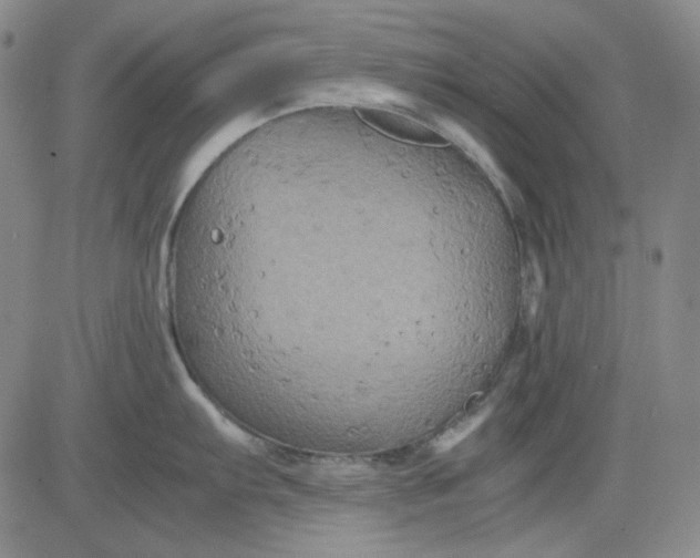 X0000080661103200612301329