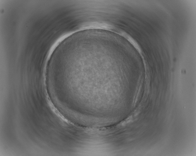 X0000080661104200612301329