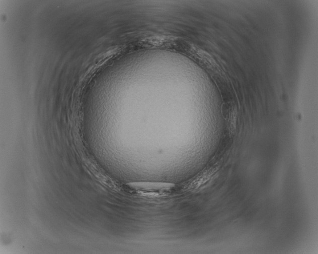 X0000080661105200612301328
