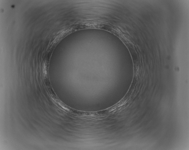 X0000080661106200612301328