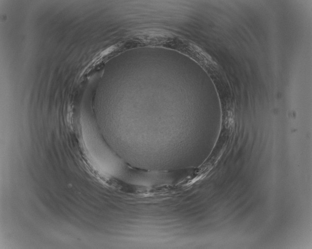 X0000080661108200612301328
