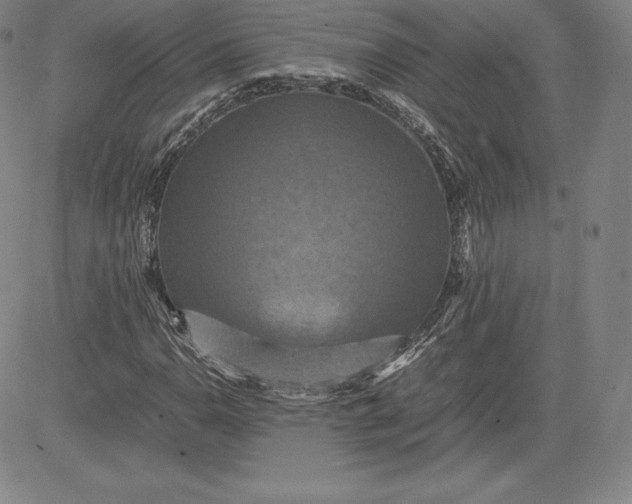 X0000080661110200612301328