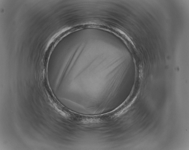 X0000080661117200612301328