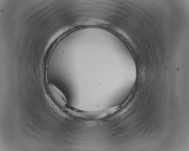 X0000080661122200612301328