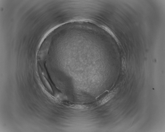 X0000080661124200612301328