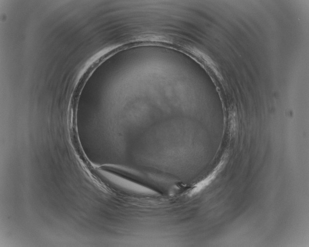 X0000080661125200612301328