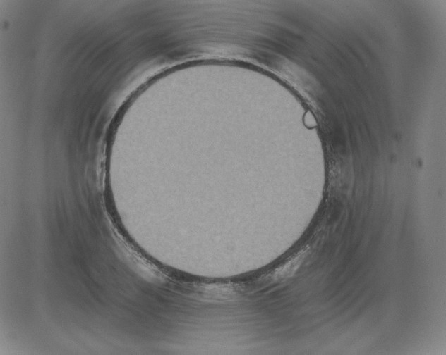 X0000080661126200612301328