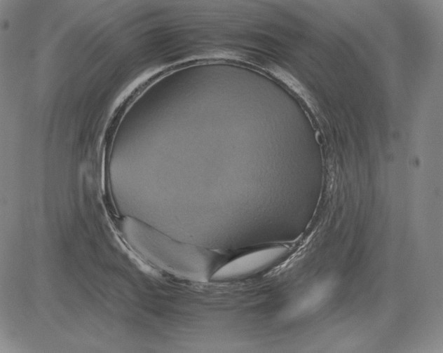 X0000080661127200612301328
