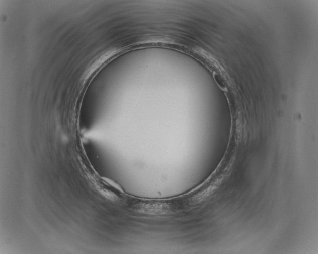 X0000080661129200612301329