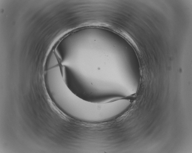 X0000080661132200612301329