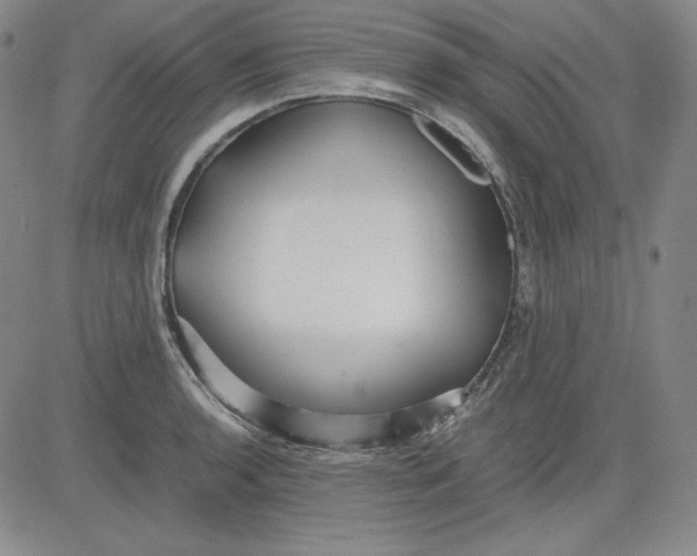X0000080661136200612301329