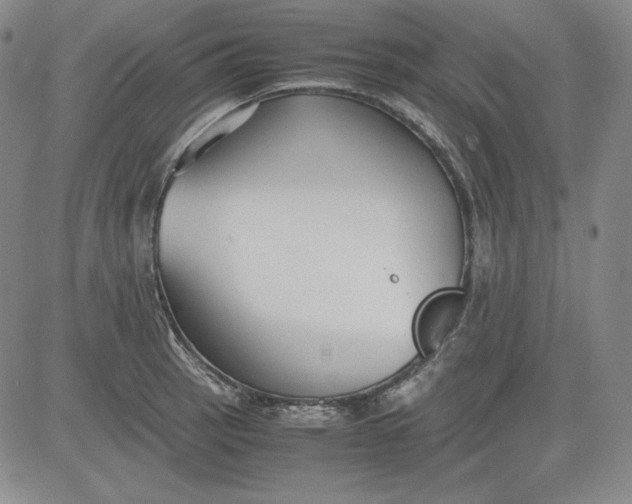 X0000080661137200612301329