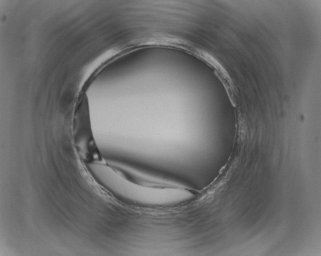 X0000080661138200612301329