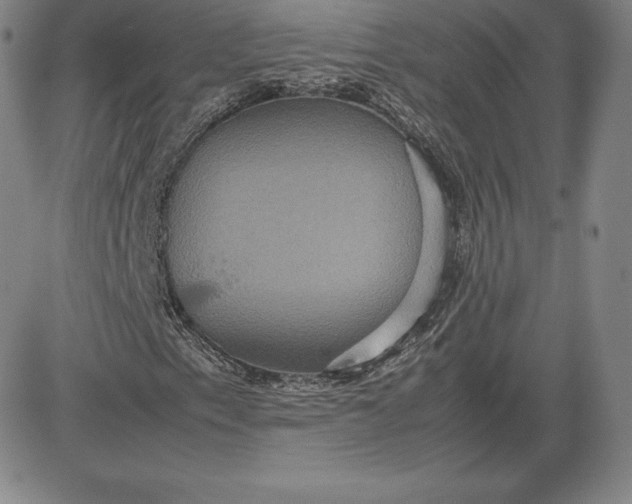 X0000080661153200612301328