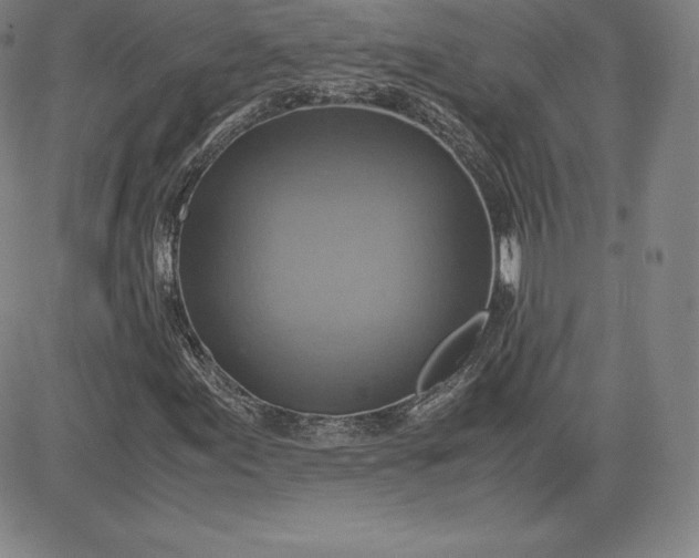 X0000080661155200612301328
