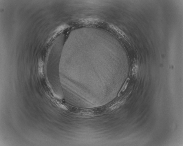 X0000080661156200612301328