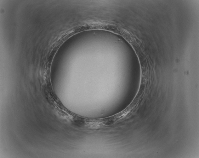 X0000080661157200612301328