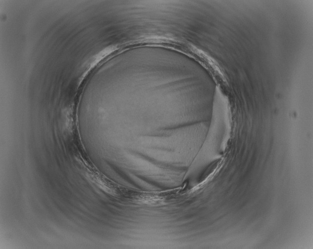 X0000080661170200612301328