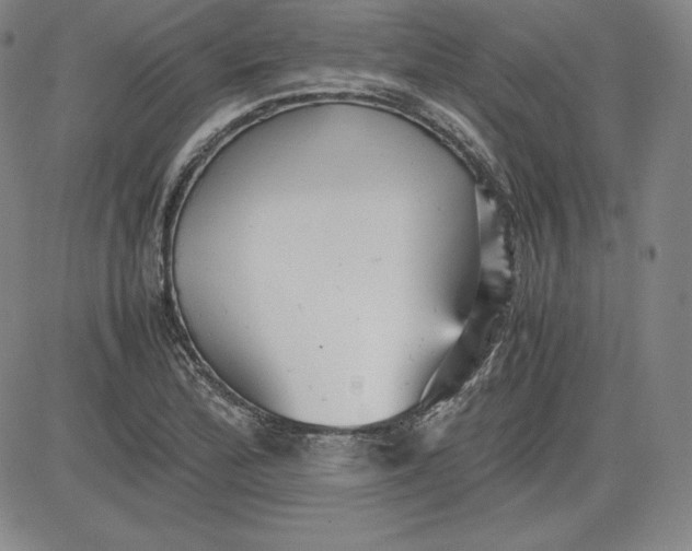 X0000080661172200612301328