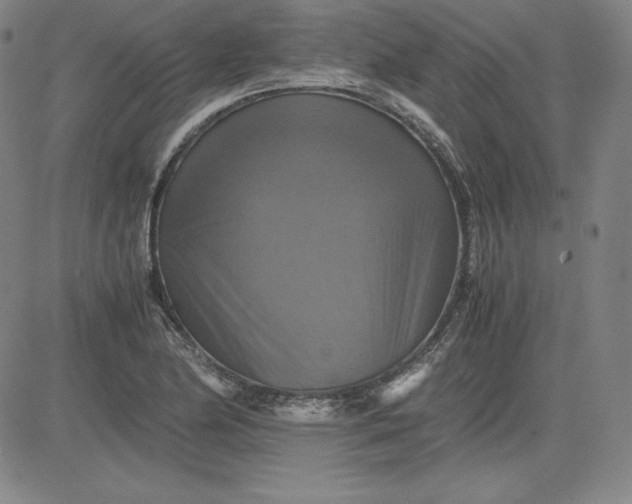 X0000080661174200612301328