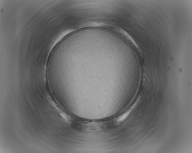 X0000080661178200612301328