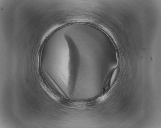 X0000080661179200612301328