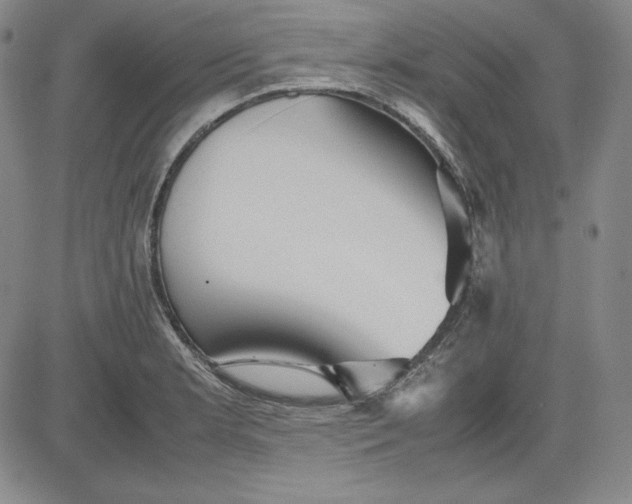 X0000080661181200612301328
