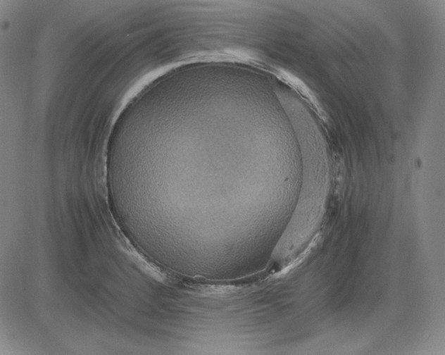 X0000080661184200612301328
