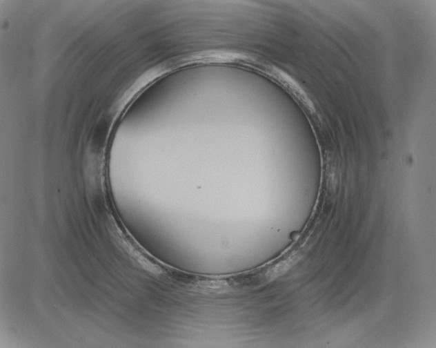 X0000080661186200612301328