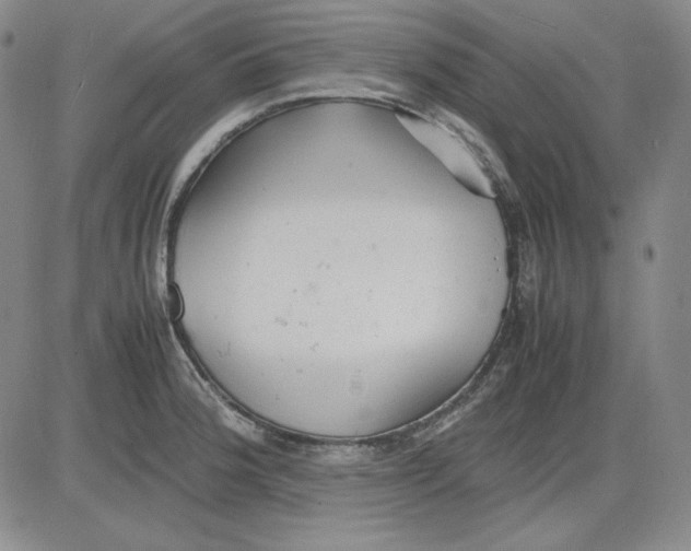 X0000080661188200612301328