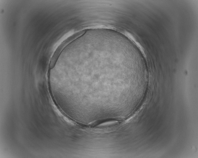 X0000080661189200612301328