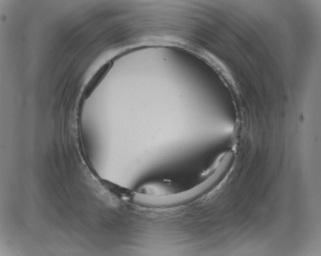 X0000080661192200612301327