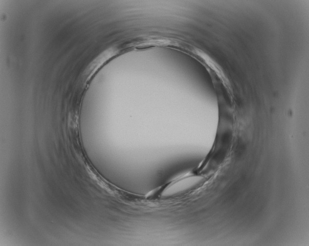 X0000080661193200612301327