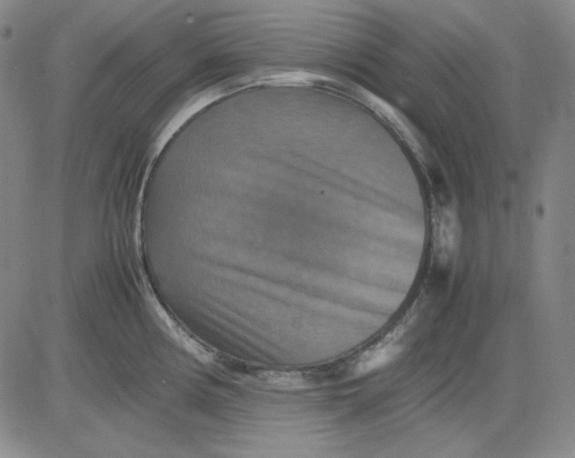 X0000080661194200612301327