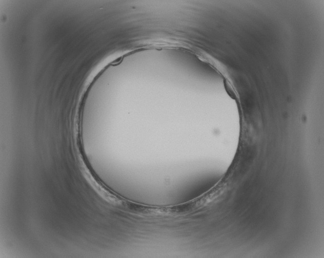 X0000080661195200612301327
