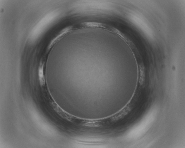 X0000080661198200612301327