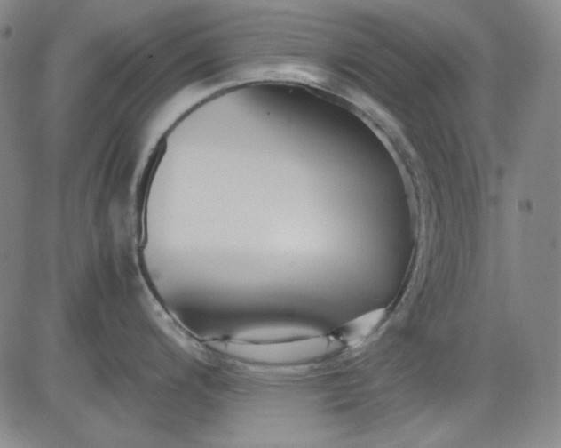 X0000080661200200612301327