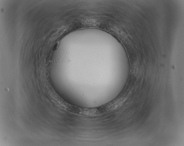 X0000080661201200612301327