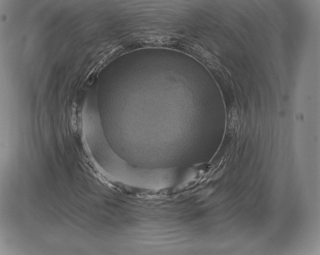 X0000080661202200612301327